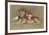 Redhead and Tiger-null-Framed Premium Giclee Print