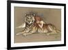 Redhead and Tiger-null-Framed Premium Giclee Print