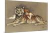 Redhead and Tiger-null-Mounted Premium Giclee Print