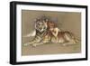 Redhead and Tiger-null-Framed Art Print