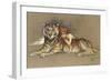 Redhead and Tiger-null-Framed Art Print