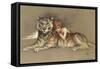 Redhead and Tiger-null-Framed Stretched Canvas