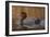 Redhead Duck-Jeffrey Hoff-Framed Photographic Print