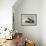 Redhead Ducks-John James Audubon-Framed Giclee Print displayed on a wall
