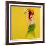 Redhead in Green Dress with Dragonfly, 2016-Susan Adams-Framed Giclee Print