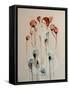 Redhead with Poppies, 2016-Susan Adams-Framed Stretched Canvas