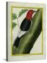 Redheaded Woodpecker-Georges-Louis Buffon-Stretched Canvas