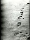 Footprints in a Sandy Beach-RedHeadPictures-Mounted Photographic Print