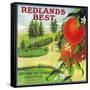 Redlands Best Orange Label - Redlands, CA-Lantern Press-Framed Stretched Canvas