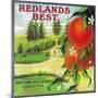 Redlands Best Orange Label - Redlands, CA-Lantern Press-Mounted Premium Giclee Print