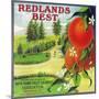 Redlands Best Orange Label - Redlands, CA-Lantern Press-Mounted Art Print