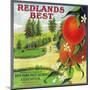 Redlands Best Orange Label - Redlands, CA-Lantern Press-Mounted Art Print