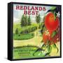 Redlands Best Orange Label - Redlands, CA-Lantern Press-Framed Stretched Canvas