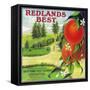 Redlands Best Orange Label - Redlands, CA-Lantern Press-Framed Stretched Canvas