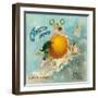 Redlands, California, Angel Brand Citrus Label-Lantern Press-Framed Art Print