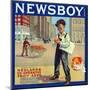 Redlands, California, Newsboy Brand Citrus Label-Lantern Press-Mounted Art Print