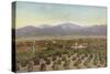 Redlands, California, View from Smiley Heights-American Photographer-Stretched Canvas