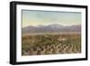 Redlands, California, View from Smiley Heights-American Photographer-Framed Photographic Print