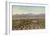 Redlands, California, View from Smiley Heights-American Photographer-Framed Photographic Print