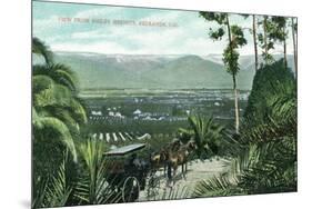 Redlands, California - View from Smiley Heights-Lantern Press-Mounted Art Print