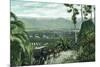 Redlands, California - View from Smiley Heights-Lantern Press-Mounted Premium Giclee Print