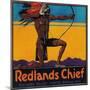 Redlands Chief Orange Label - Redlands, CA-Lantern Press-Mounted Art Print