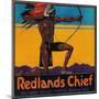 Redlands Chief Orange Label - Redlands, CA-Lantern Press-Mounted Art Print