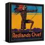 Redlands Chief Orange Label - Redlands, CA-Lantern Press-Framed Stretched Canvas
