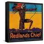 Redlands Chief Orange Label - Redlands, CA-Lantern Press-Framed Stretched Canvas