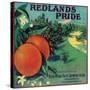 Redlands Pride Orange Label - Redlands, CA-Lantern Press-Stretched Canvas