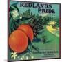 Redlands Pride Orange Label - Redlands, CA-Lantern Press-Mounted Art Print