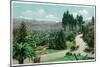 Redlands valley and orchards from Smiley's Heights - Redlands, CA-Lantern Press-Mounted Art Print