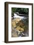 Redmire Force Near Swinithwaite in Wensleydale-Mark Sunderland-Framed Photographic Print