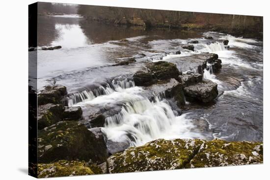 Redmire Force on the River Ure-Mark Sunderland-Stretched Canvas
