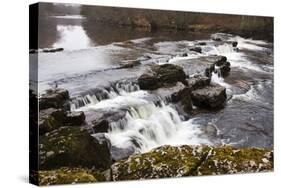 Redmire Force on the River Ure-Mark Sunderland-Stretched Canvas