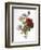 Redoute: Anemone, 1833-Pierre-Joseph Redouté-Framed Giclee Print