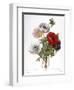 Redoute: Anemone, 1833-Pierre-Joseph Redouté-Framed Giclee Print