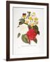 Redoute: Bouquet, 1833-Pierre-Joseph Redouté-Framed Giclee Print