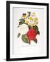 Redoute: Bouquet, 1833-Pierre-Joseph Redouté-Framed Giclee Print