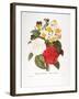 Redoute: Bouquet, 1833-Pierre-Joseph Redouté-Framed Giclee Print