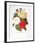 Redoute: Bouquet, 1833-Pierre-Joseph Redouté-Framed Giclee Print