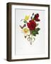 Redoute: Hellebore, 1833-Pierre-Joseph Redouté-Framed Giclee Print