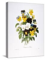 Redoute: Pansy, 1833-Pierre-Joseph Redouté-Stretched Canvas