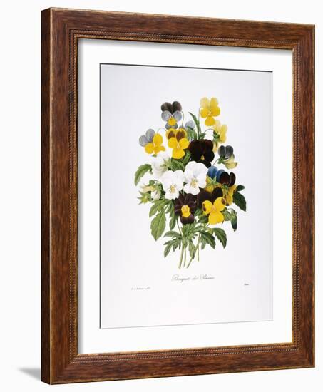 Redoute: Pansy, 1833-Pierre-Joseph Redouté-Framed Giclee Print