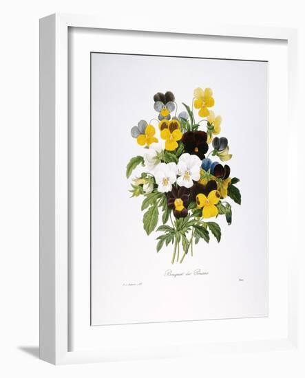 Redoute: Pansy, 1833-Pierre-Joseph Redouté-Framed Giclee Print