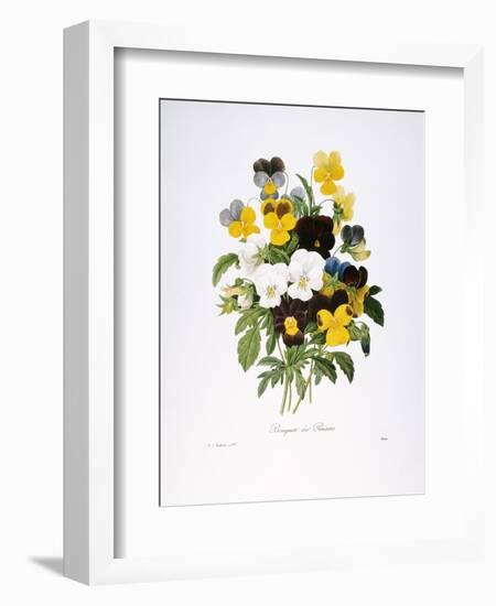 Redoute: Pansy, 1833-Pierre-Joseph Redouté-Framed Giclee Print