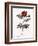 Redoute's Rose with Red Stems and Prickles-Pierre Joseph Redoute-Framed Giclee Print