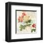 Redoute's Roses 2.0 I-Eric Chestier-Framed Giclee Print