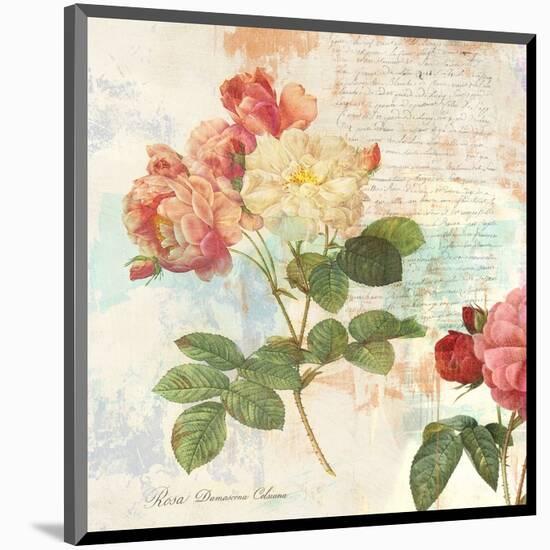 Redoute's Roses 2.0 I-Eric Chestier-Mounted Giclee Print