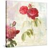 Redoute's Roses 2.0 II-Eric Chestier-Stretched Canvas